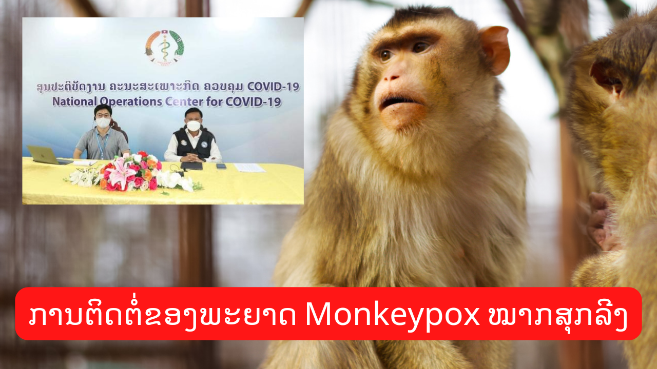 ການຕິດຕໍ່ຂອງພະຍາດ Monkeypox ໝາກສຸກລີງ